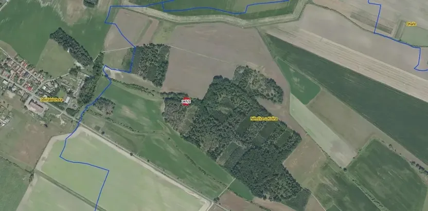 Prodej lesa, Němčice, 550 m2