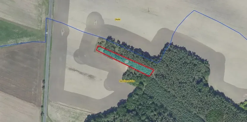 Prodej lesa, Němčice, 1392 m2