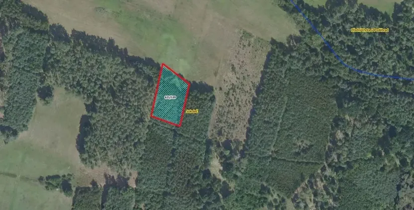 Prodej lesa, Sokoleč, 1948 m2