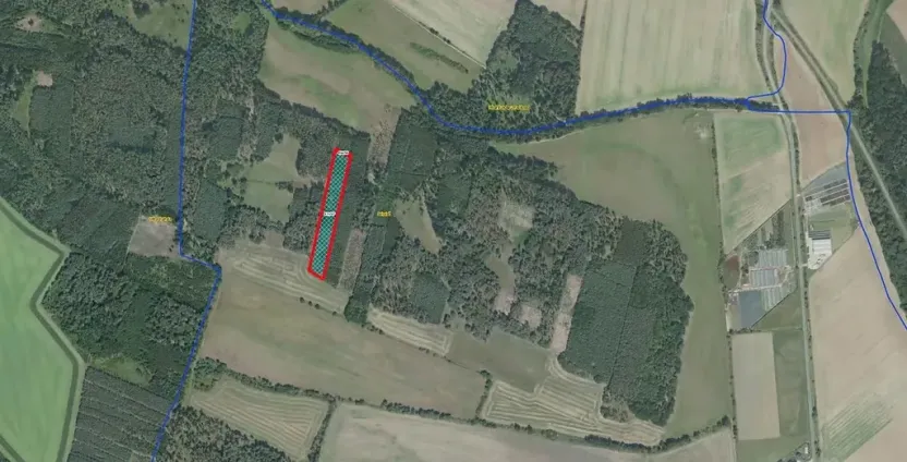 Prodej lesa, Sokoleč, 9084 m2