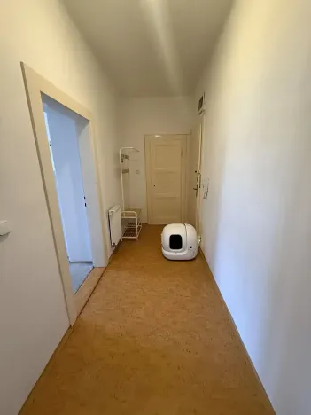 Pronájem bytu 2+kk, Praha - Břevnov, Bělohorská, 54 m2