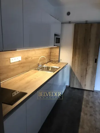 Pronájem bytu 1+kk, Teplice, Rokle, 32 m2