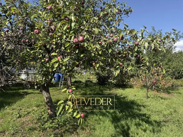 Prodej zahrady, Dubí, B. Němcové, 312 m2