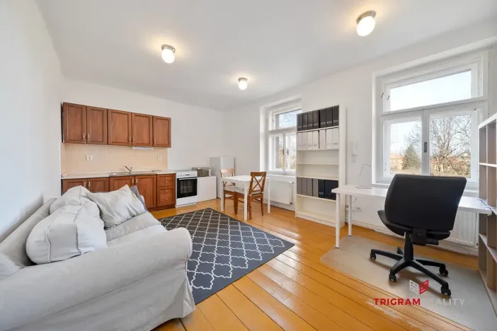 Pronájem bytu 2+kk, Hradec Králové, Dlouhá, 38 m2