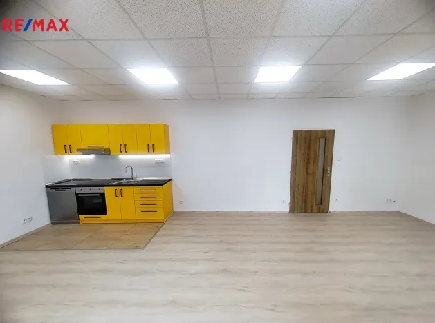 Pronájem bytu 2+kk, Ostrava - Mariánské Hory, U Vodojemu, 88 m2