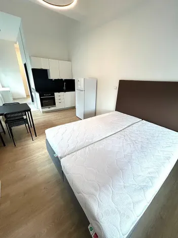 Pronájem bytu 1+kk, Praha - Vysočany, Poděbradská, 33 m2