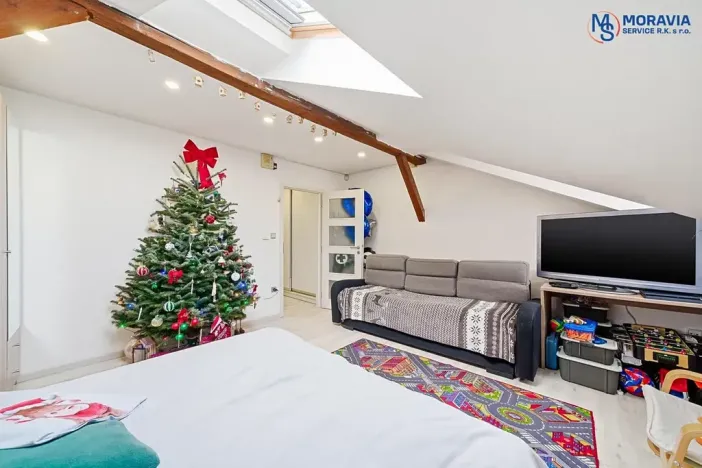 Prodej bytu 1+1, Olomouc, Javoříčská, 54 m2