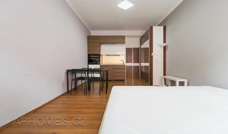 Pronájem bytu 1+kk, Praha - Holešovice, U průhonu, 22 m2