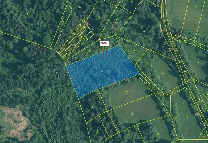 Dražba lesa, Rabí, 6042 m2