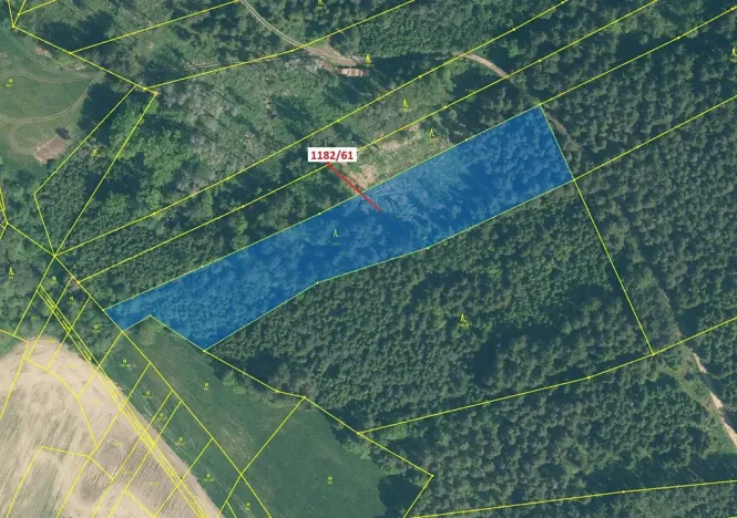 Dražba lesa, Přeborov, 11119 m2