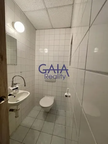 Pronájem obchodního prostoru, Veselí nad Moravou, Zámecká, 184 m2