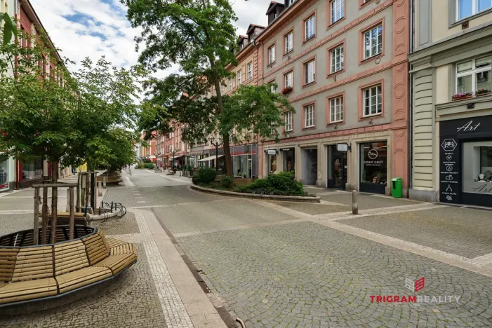 Pronájem bytu 2+1, Hradec Králové, Čelakovského, 80 m2