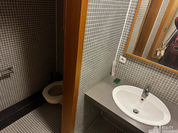 Pronájem bytu 2+kk, Praha - Vinohrady, Korunní, 50 m2