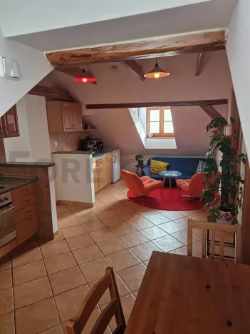 Pronájem bytu 2+1, Olomouc, Panská, 50 m2