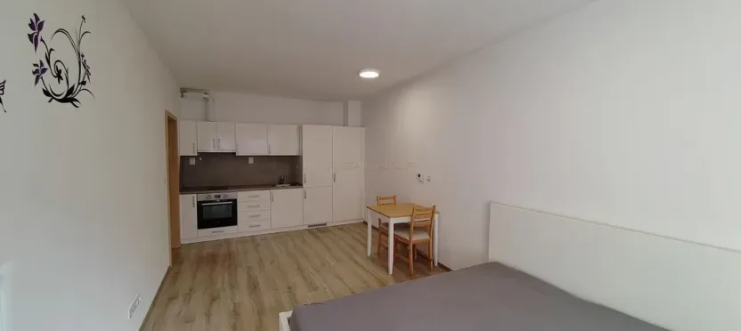 Pronájem bytu 1+kk, Moravany, Višňová, 33 m2