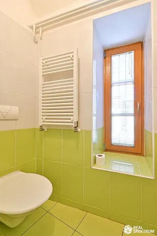 Prodej obchodního prostoru, Cetkovice, Velká Strana, 420 m2