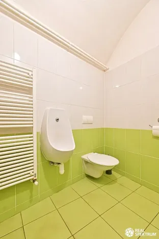 Prodej obchodního prostoru, Cetkovice, Velká Strana, 420 m2