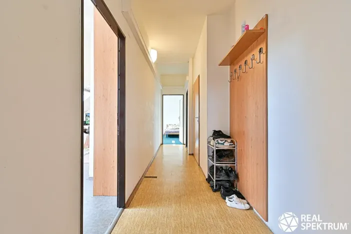 Prodej obchodního prostoru, Cetkovice, Velká Strana, 420 m2