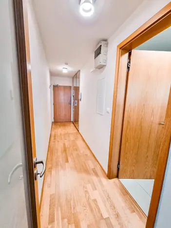 Pronájem bytu 1+kk, Praha - Žižkov, Malešická, 38 m2