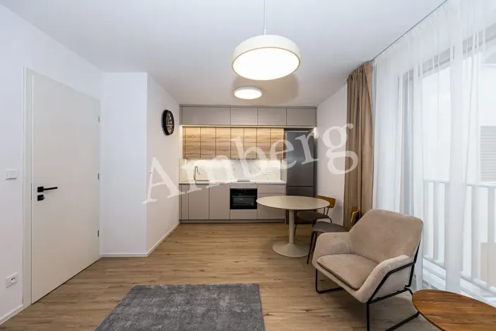 Pronájem bytu 1+kk, Praha - Karlín, Křižíkova, 32 m2