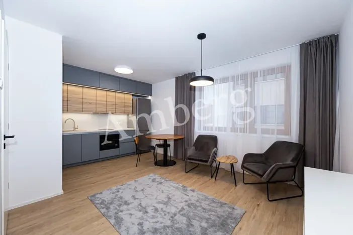 Pronájem bytu 1+kk, Praha - Karlín, Křižíkova, 32 m2