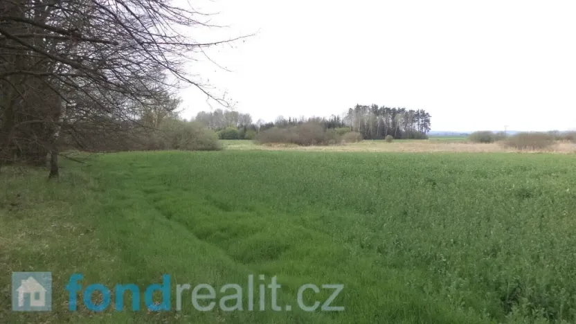 Prodej pole, Žíšov, 3467 m2