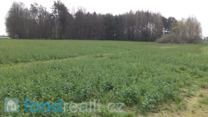 Prodej pole, Žíšov, 3467 m2