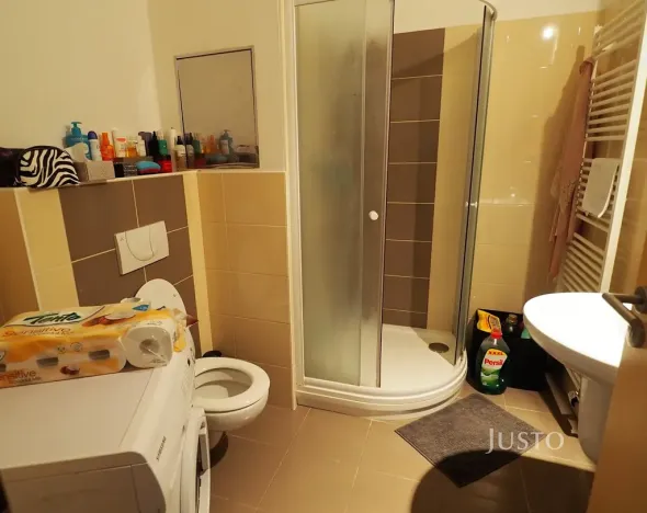 Pronájem bytu 1+kk, Písek, V Portyči, 31 m2