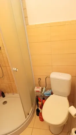 Pronájem bytu 1+kk, Praha - Nusle, Na Vítězné pláni, 26 m2