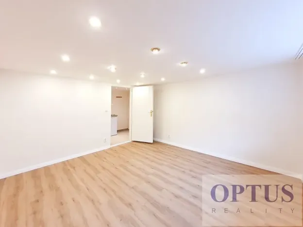 Pronájem bytu 1+kk, Praha - Podolí, Levá, 25 m2