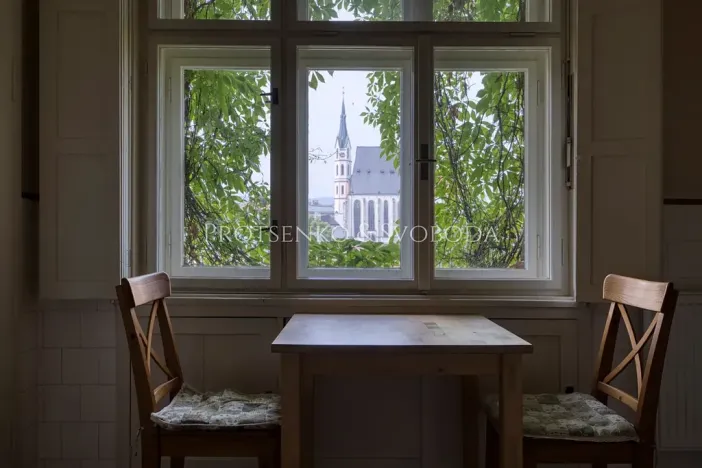 Prodej ubytování, Český Krumlov, Horská, 469 m2