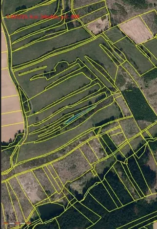 Prodej lesa, Častrov, 768 m2