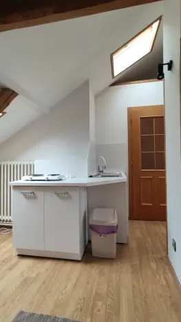 Pronájem bytu 1+kk, Praha - Krč, Moysesova, 40 m2