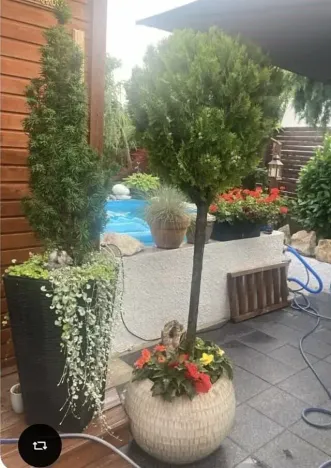 Prodej rodinného domu, Krupka, Na Vyhlídce, 50 m2