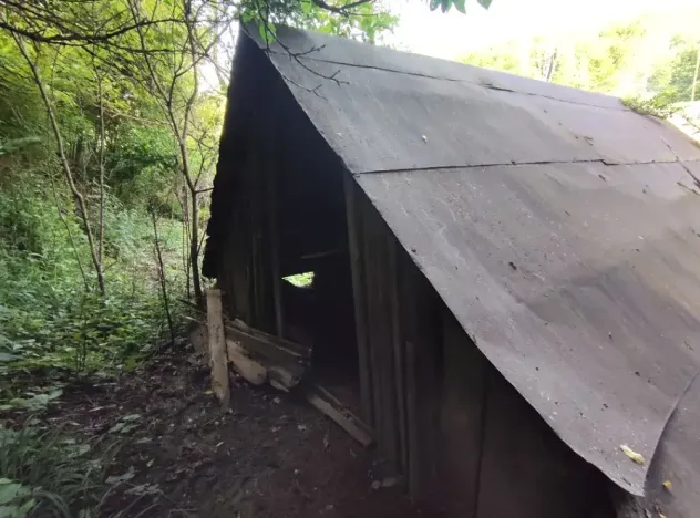 Dražba - jiné, Brumov-Bylnice, 29 m2