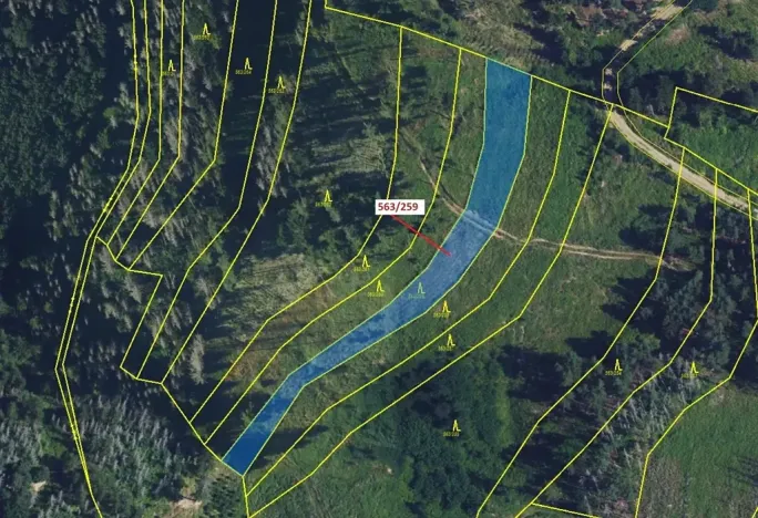 Dražba lesa, Spešov, 2318 m2