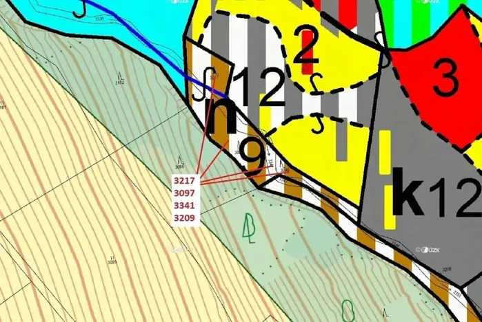 Dražba lesa, Benešov u Semil, 1649 m2