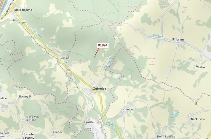 Dražba lesa, Zubrnice, 2875 m2