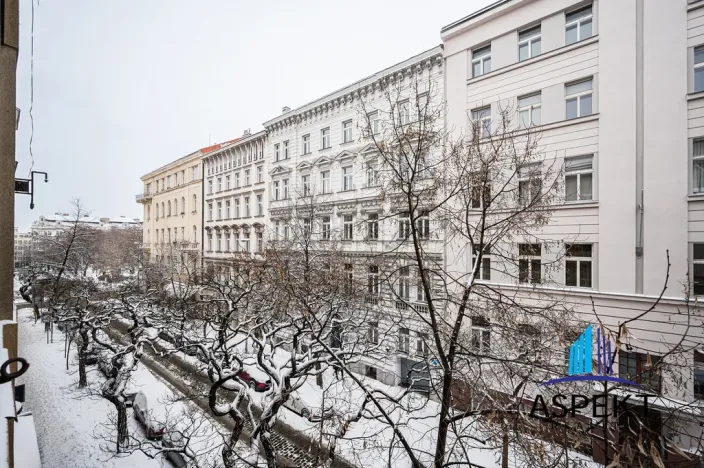 Pronájem bytu 2+1, Praha - Vinohrady, Belgická, 52 m2