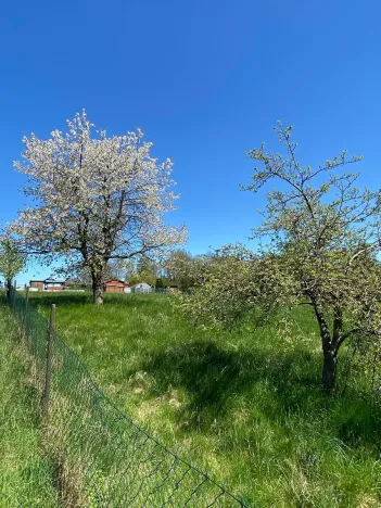 Prodej pozemku pro bydlení, Hamr na Jezeře, 1247 m2