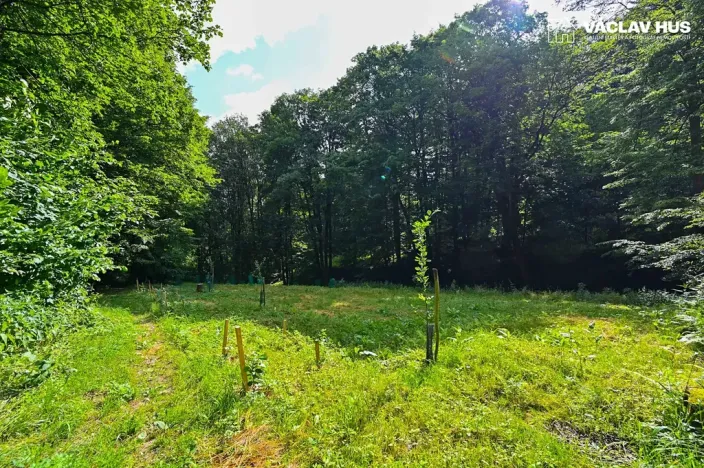 Prodej chalupy, Paseka, 116 m2