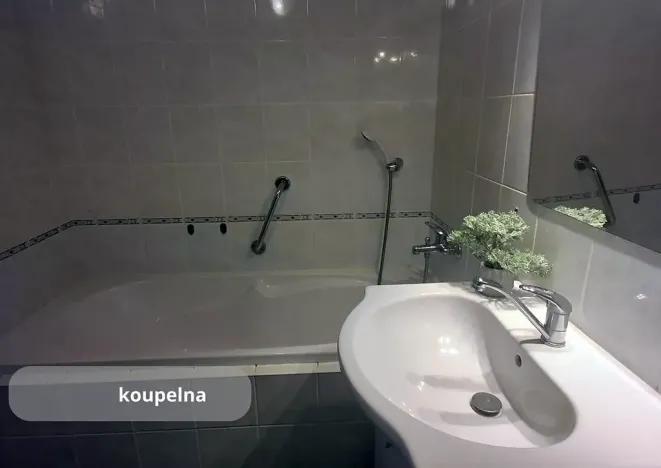 Prodej bytu 2+1, České Budějovice, J. Š. Baara, 61 m2