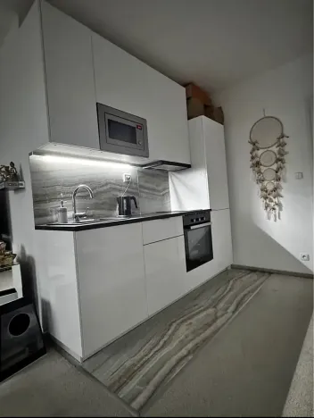 Pronájem bytu 1+kk, Praha - Vysočany, Poděbradská, 46 m2