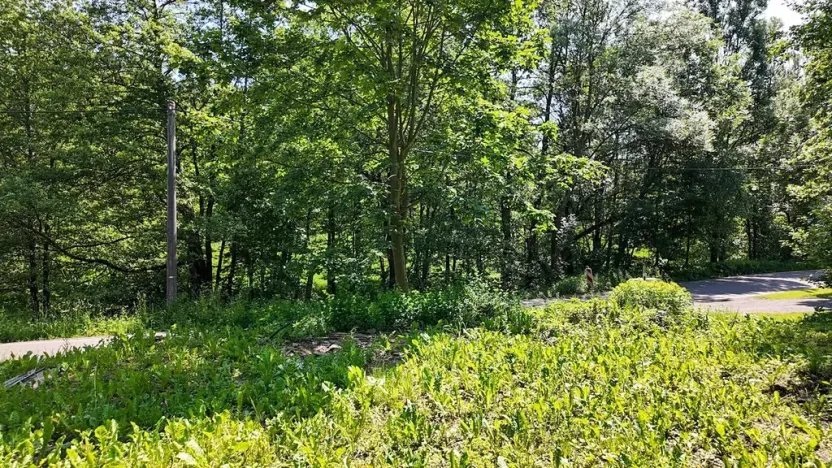 Prodej pozemku pro bydlení, Rokytnice v Orlických horách, 271 m2