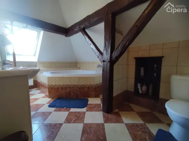 Pronájem bytu, Mirošovice, Karlín, 15 m2