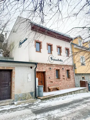 Pronájem ubytování, Valtice, Josefská, 251 m2