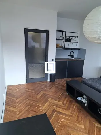 Pronájem bytu 1+kk, Brno, Halasovo náměstí, 24 m2