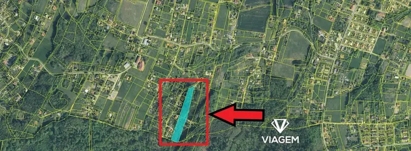 Prodej lesa, Rychvald, 9069 m2