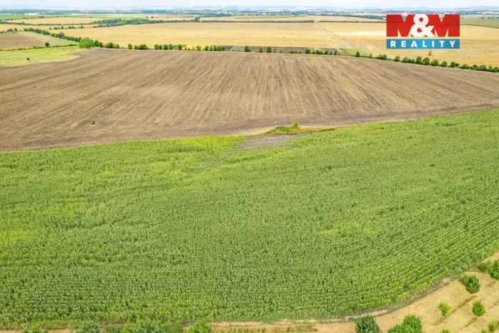 Prodej pole, Žatčany, 25490 m2