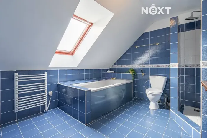 Prodej rodinného domu, Horní Stropnice, 360 m2